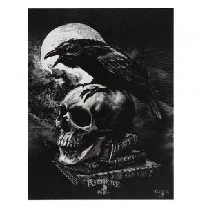 Image of 19x25cm Poe's Raven Canvas Plaque by Alchemy