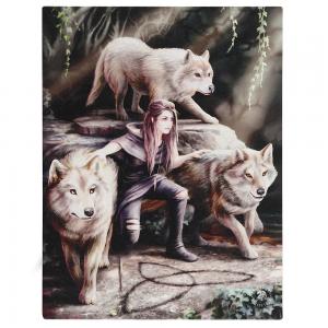 Image of 19x25cm Power of Three Canvas Plaque By Anne Stokes