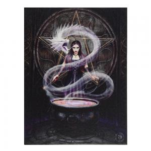 Image of 19x25 The Summoning Canvas Plaque By Anne Stokes 
