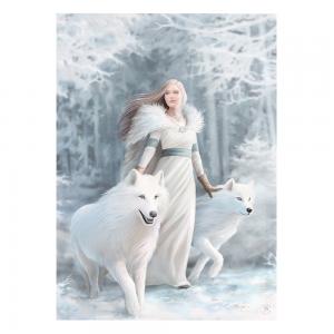 Image of 50x70cm Winter Guardians Canvas Plaque by Anne Stokes