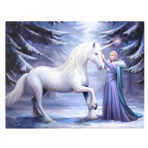 Image of 25x19cml Pure Magic Canvas Plaque by Anne Stokes