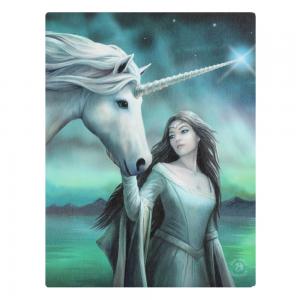 Image of 19x25cm North Star Canvas Plaque by Anne Stokes