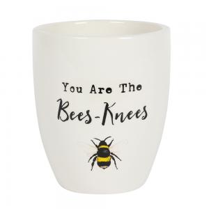 Image of You Are the Bees Knees Ceramic Plant Pot