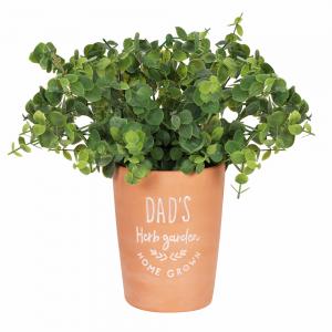 Image of Dad's Garden Terracotta Plant Pot