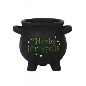Image of Small Herbs For Spells Cauldron Plant Pot