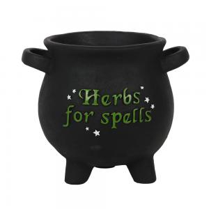 Image of Large Herbs For Spells Cauldron Plant Pot