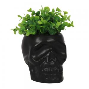 Image of Black Skull Plant Pot
