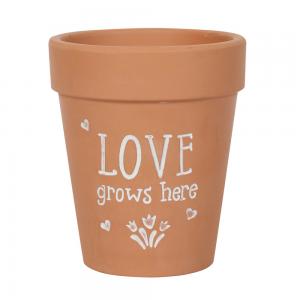 Image of Love Grows Here Terracotta Plant Pot