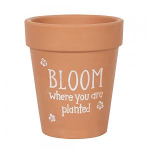 Image of Bloom Where You Are Planted Terracotta Plant Pot