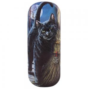 Image of Brush With Magick Glasses case By Lisa Parker 