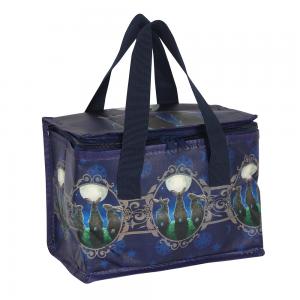 Image of Moon Shadows Lunch Bag by Lisa Parker