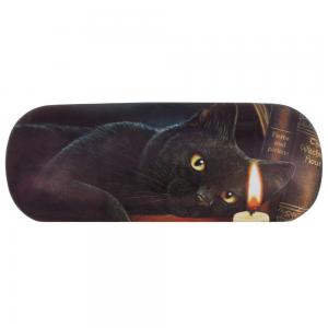 Image of Witching Hour Glasses Case By Lisa Parker