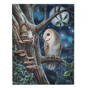 Image of 19x25cm Fairy Tales Canvas Plaque by Lisa Parker