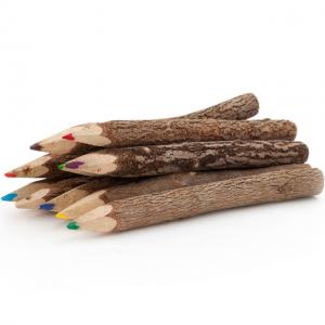 Image of Bundle of 10 Twig Pencils