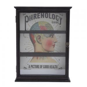 Image of Phrenology Curio Cabinet