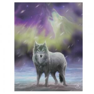 Image of 19x25cm Aurora Canvas Plaque by Anne Stokes