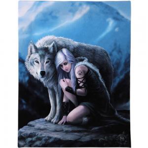 Image of 19x25cm Protector Canvas Plaque by Anne Stokes