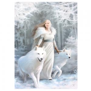 Image of 19x25cm Winter Guardian Canvas Plaque by Anne Stokes