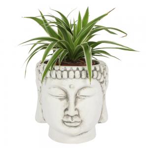 Image of White Terracotta Buddha Head Planter